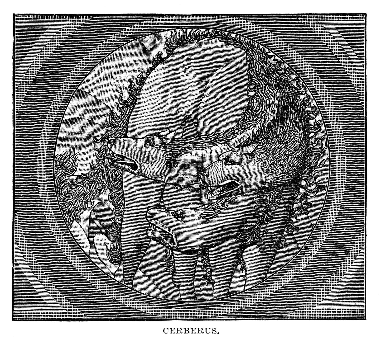 ΚΕΡΒΕΡΟΣ & ΟΡΘΡΟΣ Το απόλυτο διπλό ραδιονικό νόμισμα για αθλητές που θέλουν να κάνουν τη διαφορά