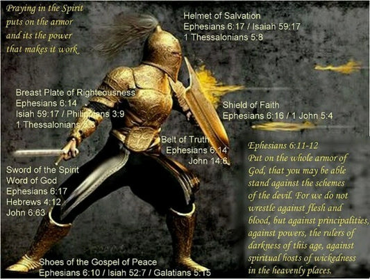 The Armour